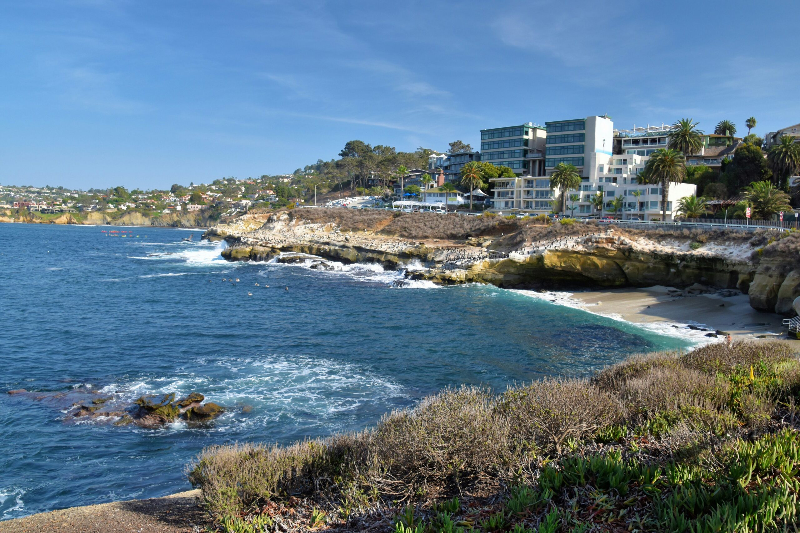 Mobile car detailing in La Jolla, San Diego