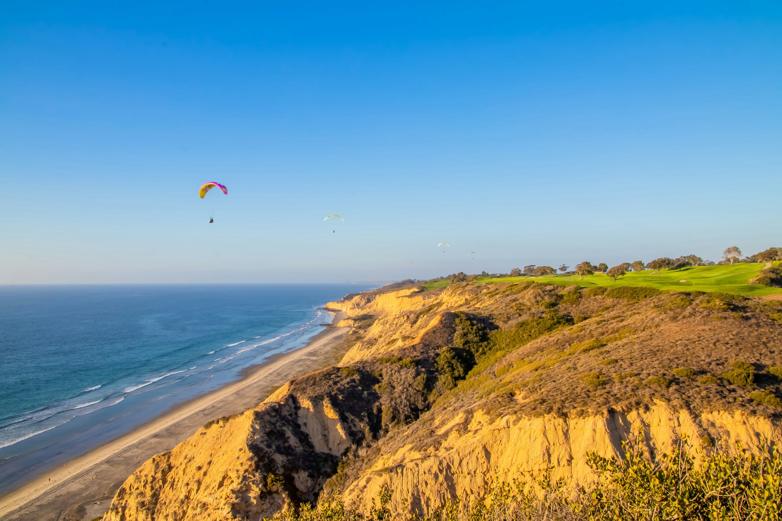 Mobile car detailing in Torrey Pines, San Diego