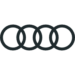 Audi mobile car detailing University City
