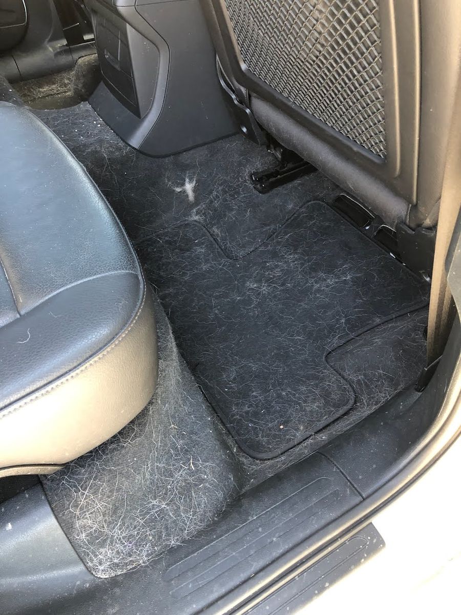 Audi Q5 rear footwell covered in pet hair before mobile detailing