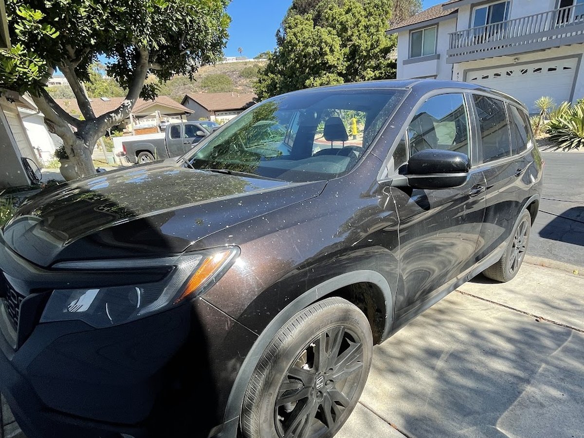 Black Honda Passport covered in dust and water spots before a full exterior detail