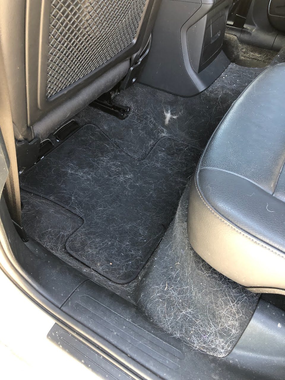 Rear footwell and seat before pet hair removal, hair worked deep into the carpet